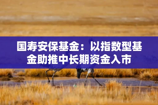 国寿安保基金：以指数型基金助推中长期资金入市