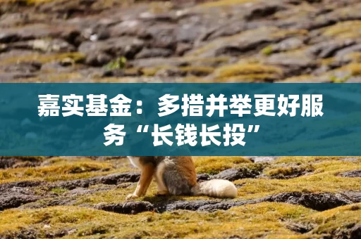 嘉实基金：多措并举更好服务“长钱长投”