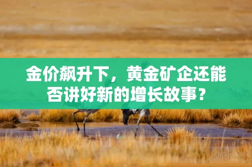 金价飙升下，黄金矿企还能否讲好新的增长故事？