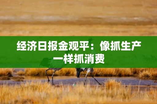 经济日报金观平：像抓生产一样抓消费
