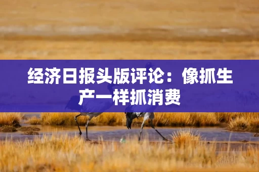 经济日报头版评论：像抓生产一样抓消费