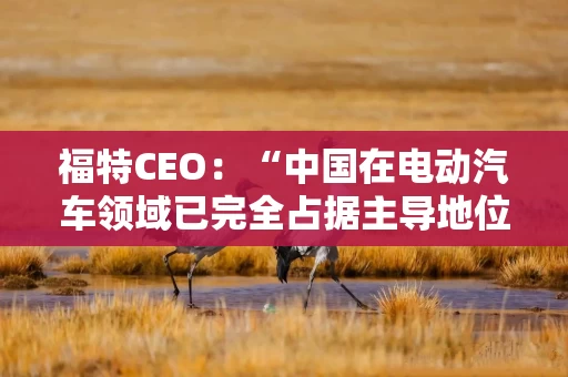 福特CEO：“中国在电动汽车领域已完全占据主导地位”