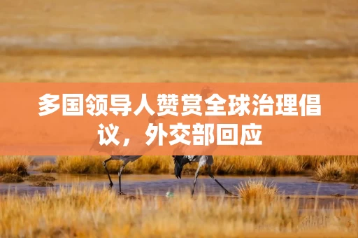 多国领导人赞赏全球治理倡议，外交部回应