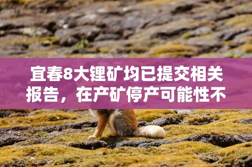 宜春8大锂矿均已提交相关报告，在产矿停产可能性不大