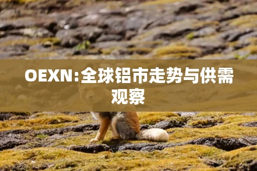 OEXN:全球铝市走势与供需观察
