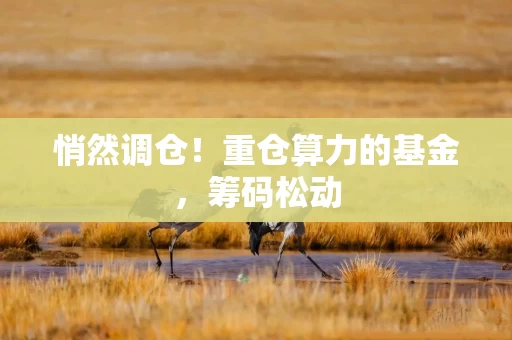 悄然调仓！重仓算力的基金，筹码松动