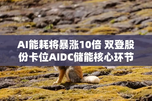 AI能耗将暴涨10倍 双登股份卡位AIDC储能核心环节