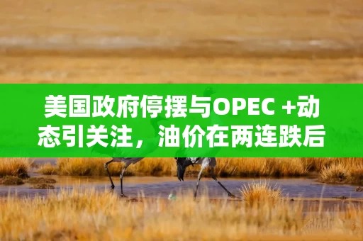美国政府停摆与OPEC +动态引关注，油价在两连跌后趋稳