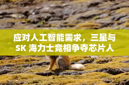 应对人工智能需求，三星与SK 海力士竞相争夺芯片人才