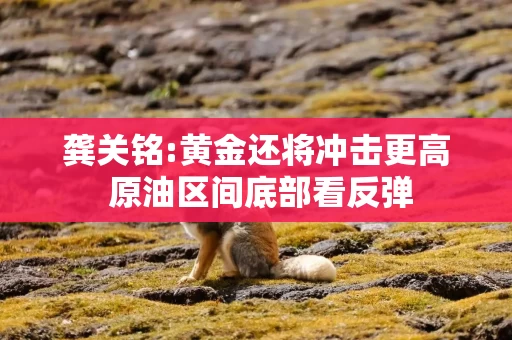 龚关铭:黄金还将冲击更高 原油区间底部看反弹