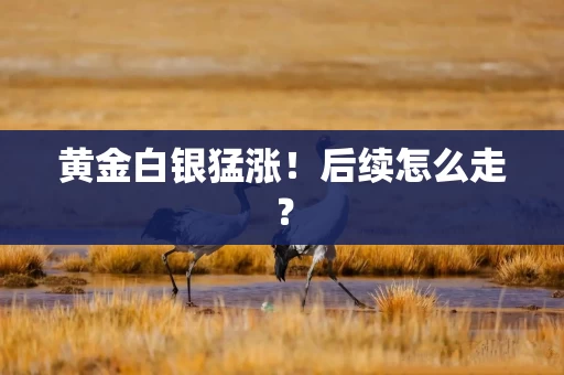 黄金白银猛涨！后续怎么走？