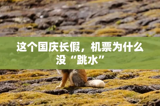 这个国庆长假，机票为什么没“跳水”