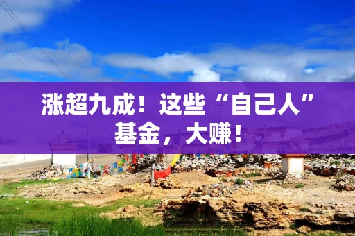涨超九成！这些“自己人”基金，大赚！