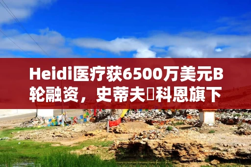 Heidi医疗获6500万美元B轮融资，史蒂夫・科恩旗下Point72领投