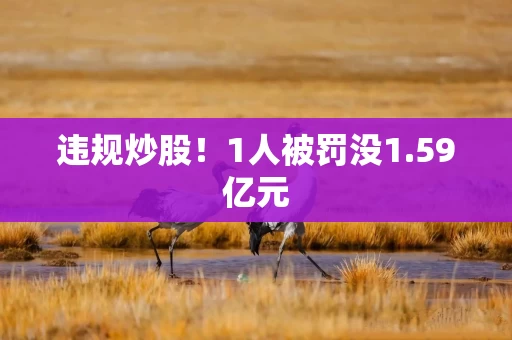 违规炒股！1人被罚没1.59亿元