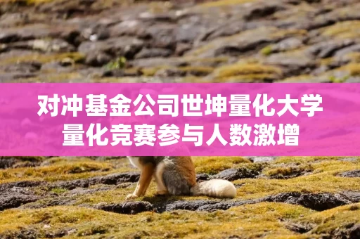 对冲基金公司世坤量化大学量化竞赛参与人数激增
