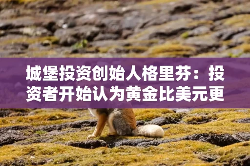 城堡投资创始人格里芬：投资者开始认为黄金比美元更安全 这令人担忧