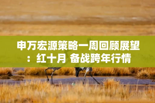 申万宏源策略一周回顾展望：红十月 备战跨年行情