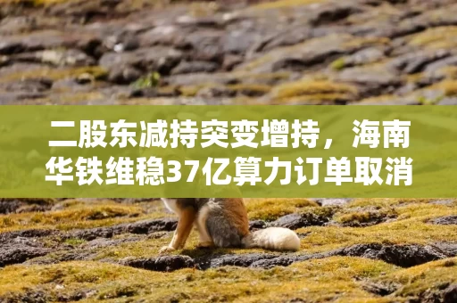 二股东减持突变增持，海南华铁维稳37亿算力订单取消冲击波？