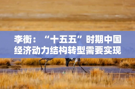 李衡：“十五五”时期中国经济动力结构转型需要实现“三个转变”