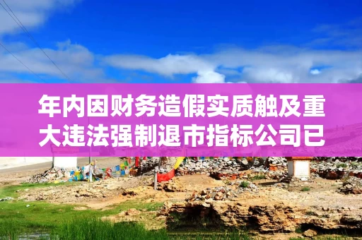 年内因财务造假实质触及重大违法强制退市指标公司已达13家