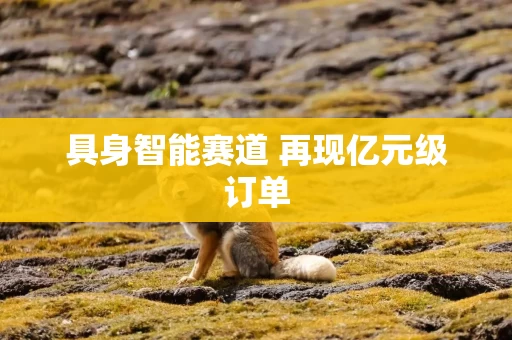 具身智能赛道 再现亿元级订单