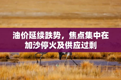 油价延续跌势，焦点集中在加沙停火及供应过剩