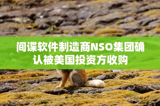 间谍软件制造商NSO集团确认被美国投资方收购