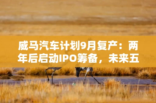威马汽车计划9月复产：两年后启动IPO筹备，未来五年推超10款新车