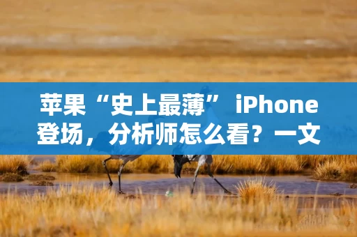苹果“史上最薄” iPhone登场，分析师怎么看？一文了解
