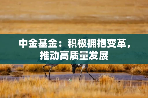 中金基金：积极拥抱变革，推动高质量发展