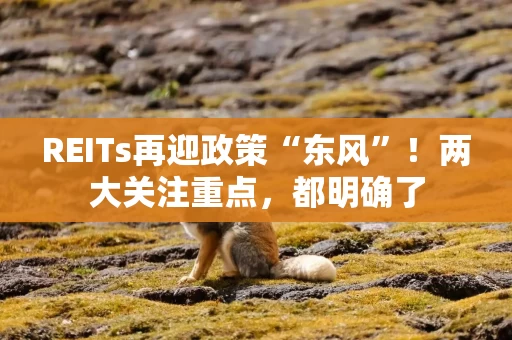 REITs再迎政策“东风”！两大关注重点，都明确了