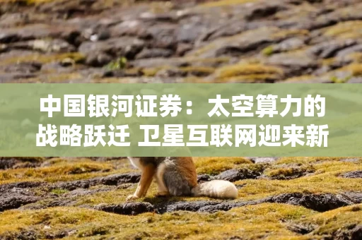 中国银河证券：太空算力的战略跃迁 卫星互联网迎来新空间