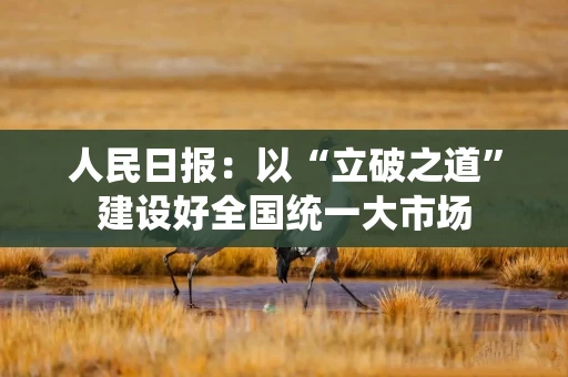人民日报：以“立破之道”建设好全国统一大市场