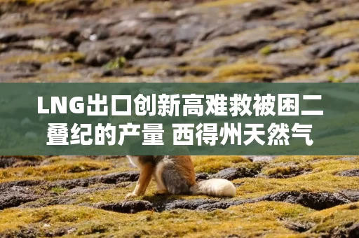 LNG出口创新高难救被困二叠纪的产量 西得州天然气现货再陷负值