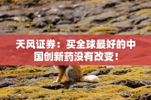 天风证券：买全球最好的中国创新药没有改变！