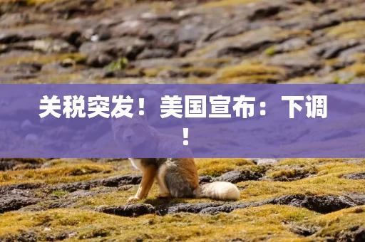 关税突发！美国宣布：下调！