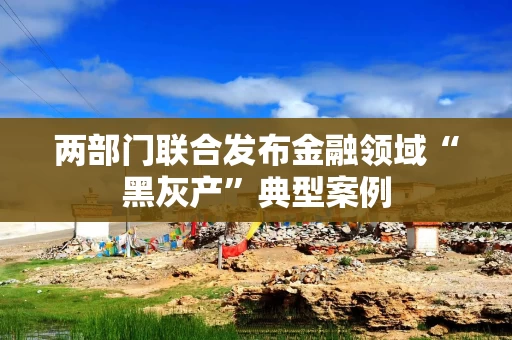 两部门联合发布金融领域“黑灰产”典型案例