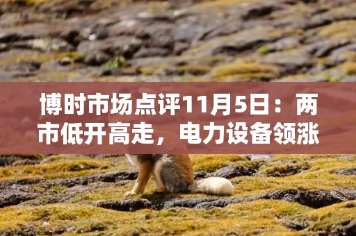 博时市场点评11月5日:两市低开高走,电力设备领涨 博时市场点评11月5日:两市低开高走,电力设备领涨