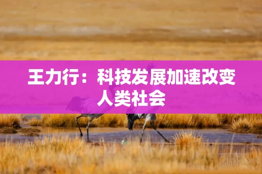 王力行：科技发展加速改变人类社会