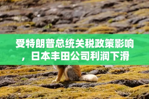 受特朗普总统关税政策影响，日本丰田公司利润下滑