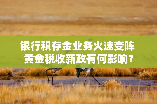 银行积存金业务火速变阵 黄金税收新政有何影响? 银行积存金业务火速变阵 黄金税收新政有何影响?