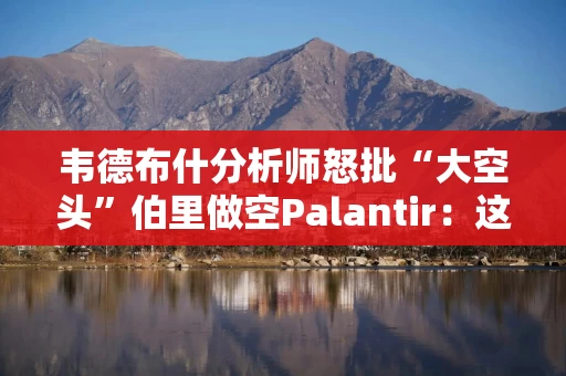 韦德布什分析师怒批“大空头”伯里做空Palantir：这将是下一个甲骨文