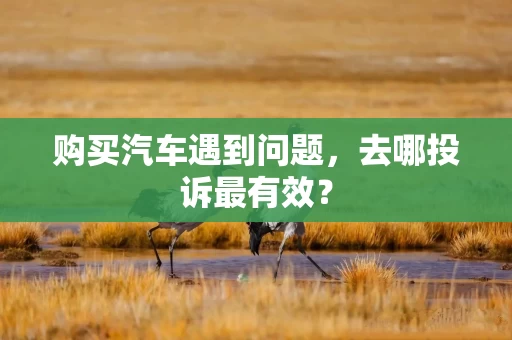 购买汽车遇到问题,去哪投诉最有效? 购买汽车遇到问题,去哪投诉最有效?