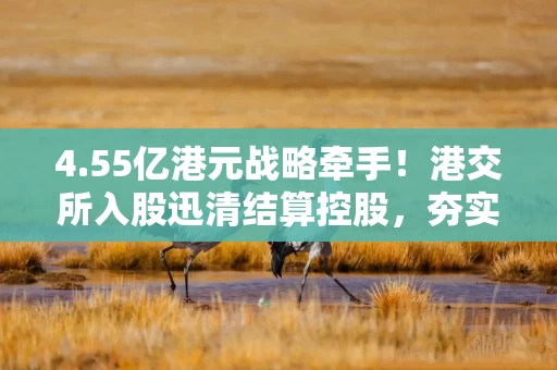 4.55亿港元战略牵手!港交所入股迅清结算控股,夯实债券通结算根基 4.55亿港元战略牵手!港交所入股迅清结算控股,夯实债券通结算根基