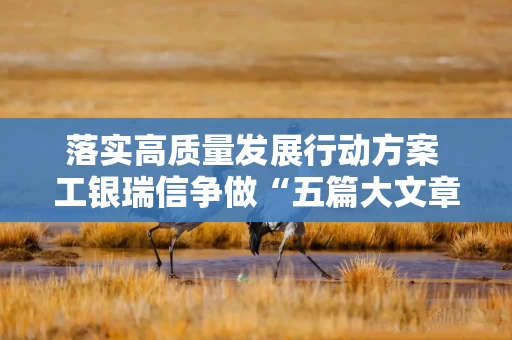 落实高质量发展行动方案 工银瑞信争做“五篇大文章”排头兵