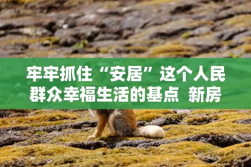 牢牢抓住“安居”这个人民群众幸福生活的基点  新房子建成好房子，老房子改成好房子