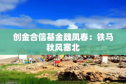 创金合信基金魏凤春：铁马秋风塞北