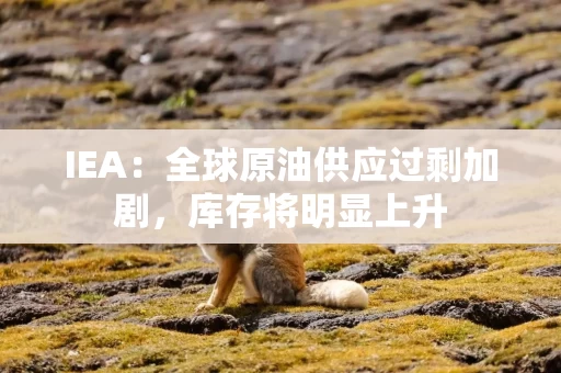 IEA：全球原油供应过剩加剧，库存将明显上升