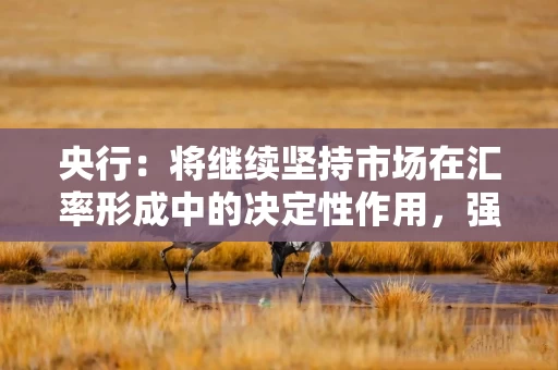 央行：将继续坚持市场在汇率形成中的决定性作用，强化预期引导